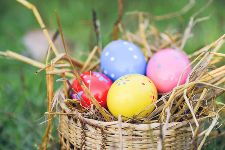 Easter eggs hunt on green grass outdoor / Basket nest with colorful egg decorated festive on meadowの写真素材
