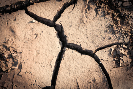 Ground crack background / soil texture and season dry mud arid land
