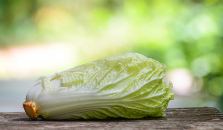 fresh chinese cabbage on wooden nature green backgroundの写真素材