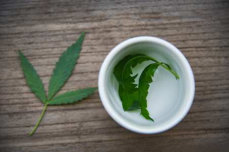 Marijuana leaf plant cannabis herbal cup tea on wooden background / Hemp leaves for extract medical healthcare natural selective focus top viewの写真素材