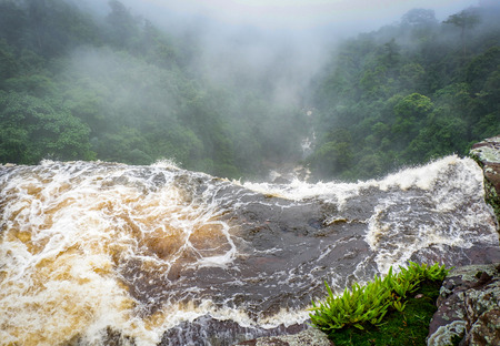 River forest flow view on top cliff high waterfall stream and forest tree backgroundの写真素材