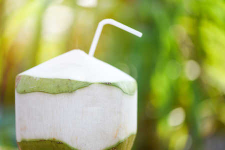 Fresh coconut juice drinking / Young coconut fruit on summer nature green backgroundの写真素材