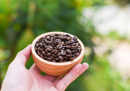 Coffee beans in wooden bowl on hand with nature green backgroundの写真素材