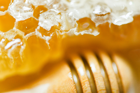 Fresh honey and wooden dipper honey / Close up macro of yellow sweet honeycomb natural healthy foodの写真素材