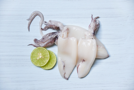 Fresh squid on table top view / Raw squid and lemon lime on white wooden backgroundの写真素材