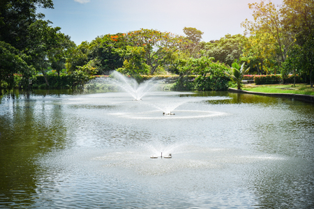 fountain garden in the water pond at green parkの写真素材