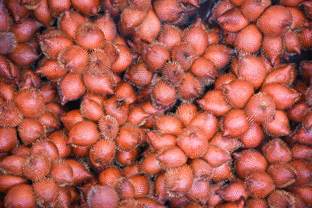 Salak Palm texture background or snake fruit for sale in the fruit market / Salacca zalaccaの写真素材