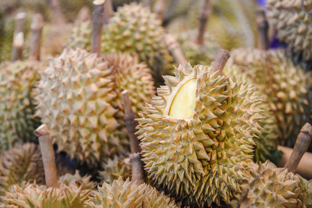 Durian tropical fruit on background for sale in the fruit market on summerの写真素材