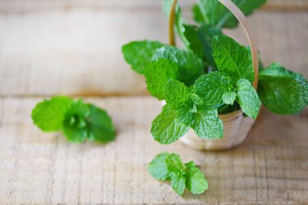 peppermint leaf in a wood basket / Fresh mint leaves on the wooden background for herbs and...