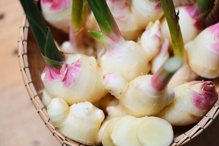 Ginger root harvest on the basket / Fresh young ginger for herb medicinal natural and food