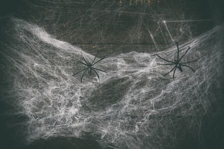Halloween background horror decoration spider web and black spider on wooden dark background on...