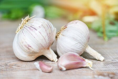 Garlic Cloves and Garlic Bulb / Vitamin healthy food spice for spicy cooking ingredient asian food