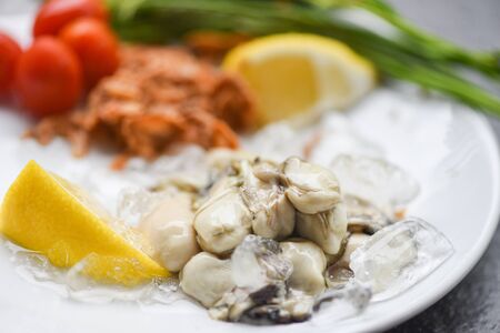 Fresh oysters served on white plate and ice / Oyster Salad with lemon and herb in the seafood restaurantの写真素材