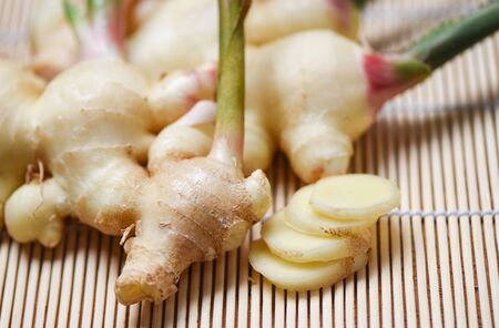 Ginger root harvest on wood / Fresh young ginger for herb medicinal natural and foodの写真素材