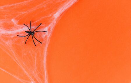 halloween background with spider web and black spider on orange decorations holidays festive for party accessories object conceptの写真素材