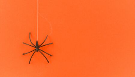 halloween background with spider web and black spider on orange decorations holidays festive for party accessories object conceptの写真素材