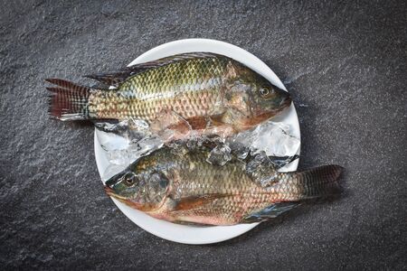Tilapia fish freshwater for cooking food in the asian restaurant / Fresh raw tilapia on ice plate backgroundの写真素材