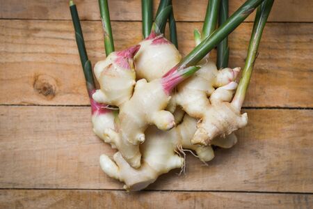 Ginger root harvest on wood / Fresh young ginger for herb medicinal natural and foodの写真素材