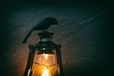 Crow sitting on a old lantern lights at night and dark background with blur filters , selective focusの写真素材