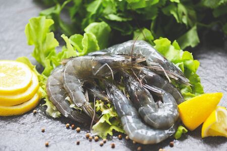raw shrimps on plate / fresh shrimp prawns uncooked with spices lemon and vegetable salad lettuce or green oak on dark background in the seafood restaurantの写真素材
