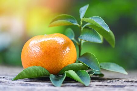 orange fruit and leaf on wooden with green garden background / Healthy fruits fresh orange