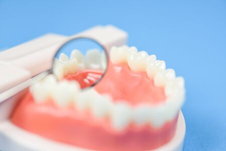 Dental care concept / dentist tools with dentures dentistry instruments and dental hygiene and...