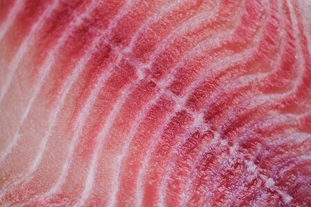 Close up of fish fillet / Fresh raw tilapia fish texture backgroundの写真素材