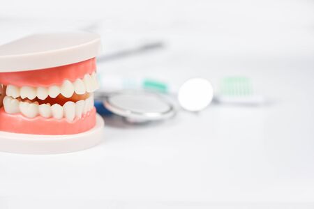 Dental care concept / dentist tools with dentures dentistry instruments and dental hygiene and...