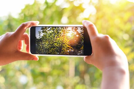 Woman hand holding smartphone taking photo picture of nature green tree and sunset bokeh background / mobile phone photography and video conceptの写真素材