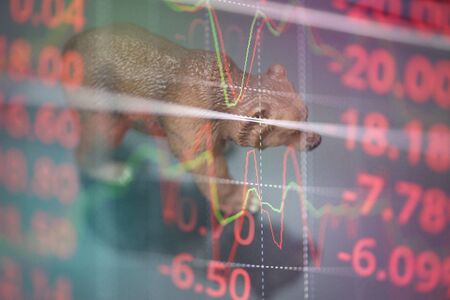 bull and bear market concept with stock chart digital numbers crisis red price drop arrow down chart fall / stock market bear finance risk trend investment business and money losing moving economicの写真素材
