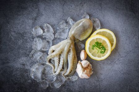 Raw squid on ice with salad spices lemon garlic on the dark plate background / fresh squids octopus...