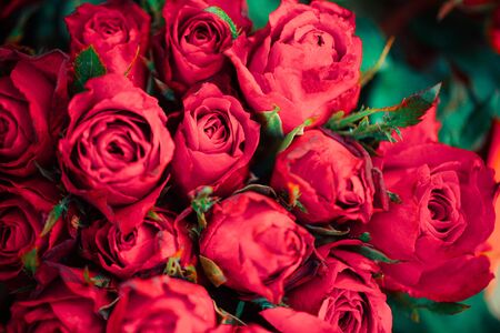 Natural fresh red roses flower bouquet / Close up rose background flowers romantic love valentine day conceptの写真素材