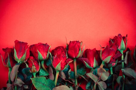 Natural fresh red roses flower bouquet on red background rose flowers romantic love valentine day concept , top view copy spaceの写真素材