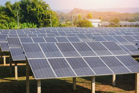 View of solar panels in the solar farm with green tree and sun lighting reflect / solar cell energy...