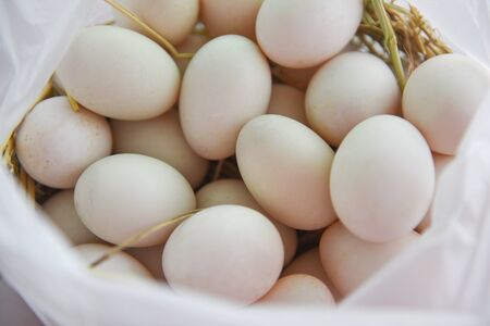 Fresh eggs white duck egg in white bag  / produce eggs fresh from the farm organic の写真素材