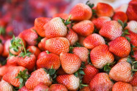Pile od ripe strawberry for sale in the market fruit / harvested fresh strawberries background の写真素材