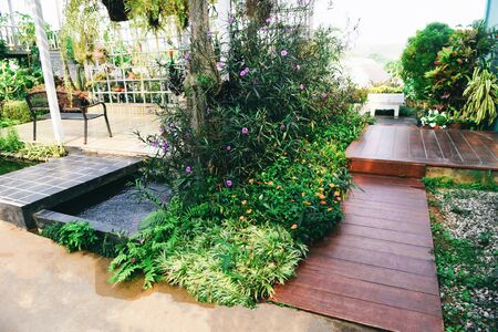 Home gardening and decorating indoor microgreen greenhouse environments secret gardens and modern gardening setups / Flowers and ornamental plants gardening and greenery in workspacesの写真素材