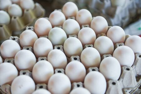 Produce eggs fresh from the farm organic / Fresh eggs white duck egg box