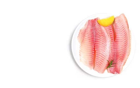 Fresh fish fillet sliced for steak or salad with herbs spices rosemary and lemon / Raw tilapia fillet fish on white background and ingredients for cooking food の写真素材