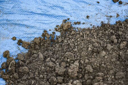 Fertile loam soil suitable for planting soil background for gardening concept , selective focus