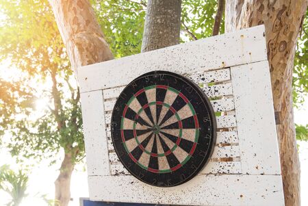 Old dart hit the mark on the darts board on the tree /