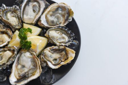 Close up of oyster shell with herb spices lemon and ice / Fresh raw oyster dinner in the restaurant seafoodの写真素材
