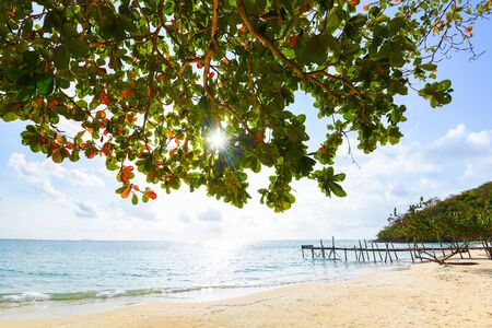 View of beautiful tropical landscape with tree and sunlight on beach sea island with ocean blue sky background in Thailand summer beach vacation / Sea waves on sand beach water and coast seascapeの写真素材