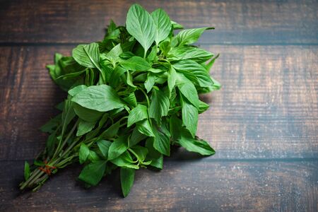 basil leaf on wooden background / fresh green basil leaves for cooking food vegetables and herbs in...