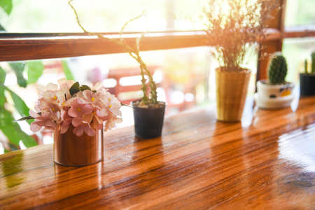 minimal table , Plant in pot on window with sunlight / Green home houseplants and wooden tableの写真素材