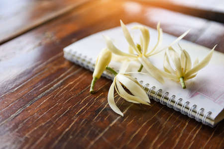 White champaka flower or Michelia white sandalwood and notebook paper on rustic wooden , jade orchid flowersの写真素材