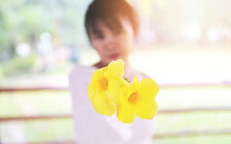 woman give flowers / lady holding flower , beautiful girl with yellow flower on handの写真素材