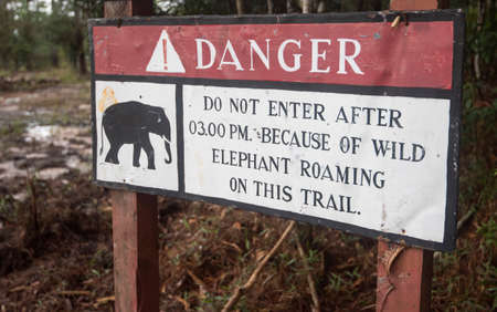 Beware of wild elephants / Danger Wild animal sign in the forestの写真素材