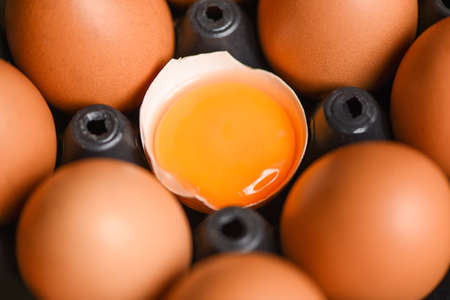 Chicken eggs from farm products natural in box healthy eating concept / Fresh broken egg yolkの写真素材