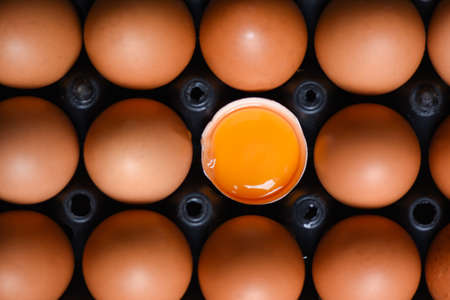 Chicken eggs from farm products natural in box healthy eating concept / Fresh broken egg yolk